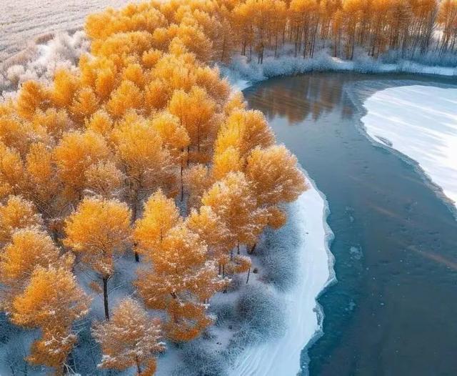 遇见,秋的金黄与冬的银白