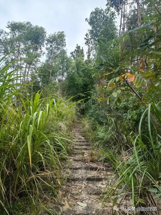 这处以玻璃栈道、落日观景和悬崖木亭而闻名的网红地,你可去过