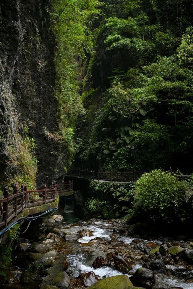 青山如黛,锦绣峨眉——峨眉山旅游攻略