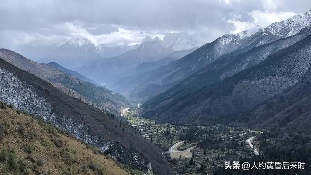 今年的彩林，选择了神仙池（嫩恩桑措）