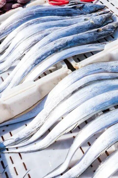 打卡限时浪漫，一键收藏隐珠街道最美秋色！