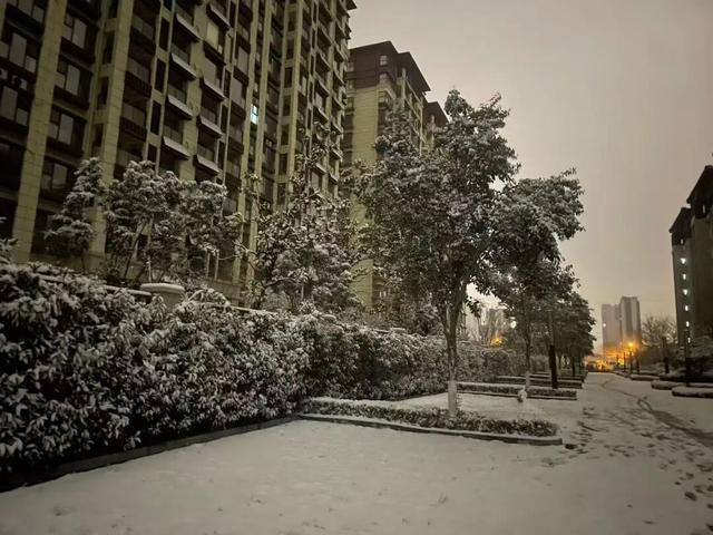 终于等到你！第一波济宁雪景大片来了！