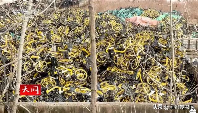 11人偷共享单车上万辆，拆解后每辆赚200元，因偷车速度太快，收赃人反欠20多万……