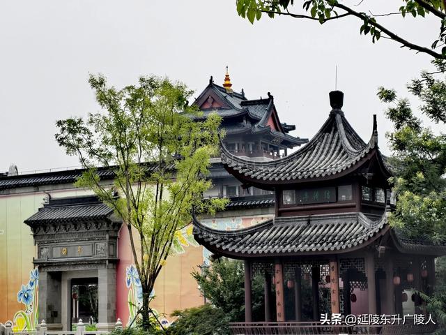 夏秋之交的常州萃园