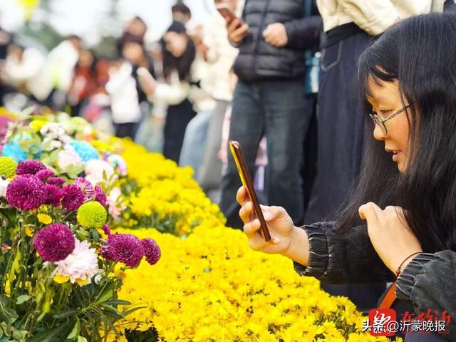 临沂河湾公园花境焕新颜——金秋赏花季绘就生态惠民新画卷