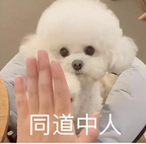 打了码还是很低俗，封禁！