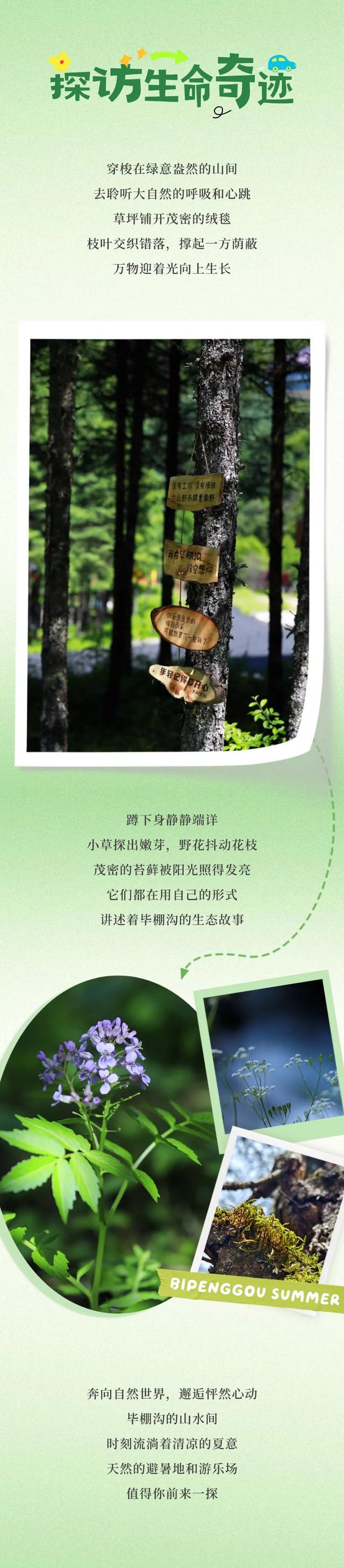 放福利！夏天的毕棚沟还是太“惠”玩了！