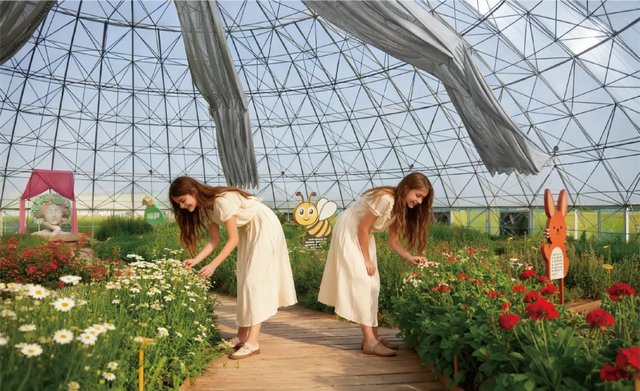 临沂，你真的好风光！！