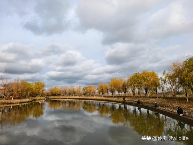 新疆昌吉头屯河公园