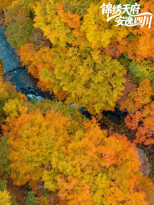 广元旺苍，倒也不必美得如此满分！！！