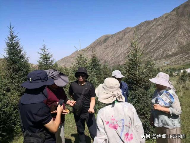 新疆之旅（六）：美丽的巴音那木