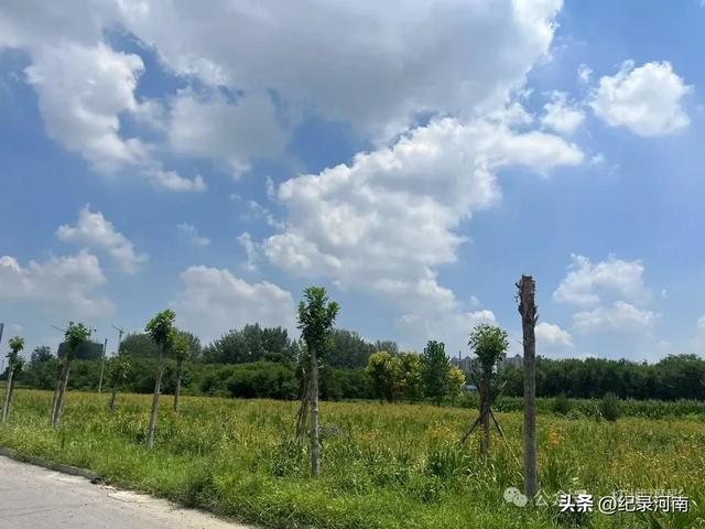 把民权县境域内黄河故道湿地公园也纳入到整体的托管运营体系中来