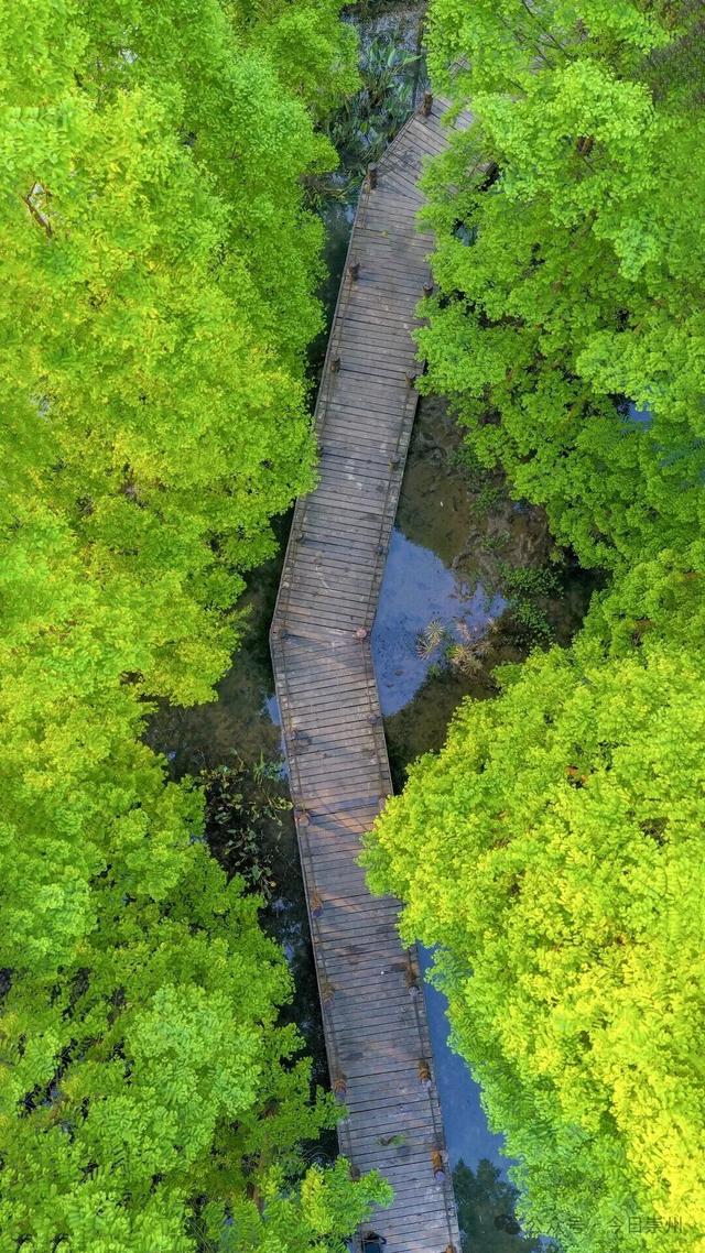 在崇州，我刷到了古人的“朋友圈”