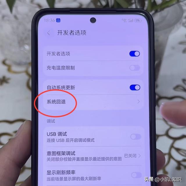 鸿蒙6退回4.2官方教程	，数据备份是关键！