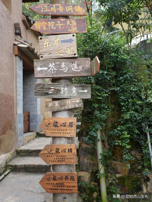 旅居云南哪合适？西山区这个村入选试点→