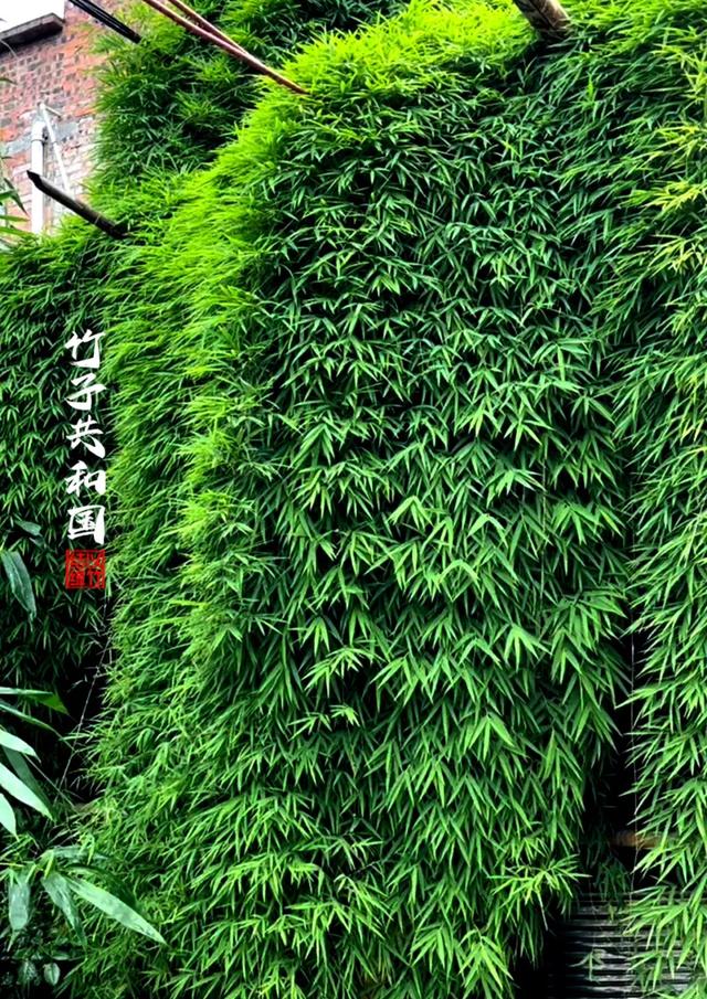 不要再去看黄果树瀑布了！