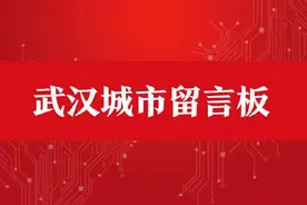 最新！武汉一批新建道路进展来了图片