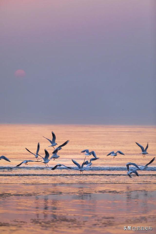 「 日 照 」 为何能成为康养优选地？