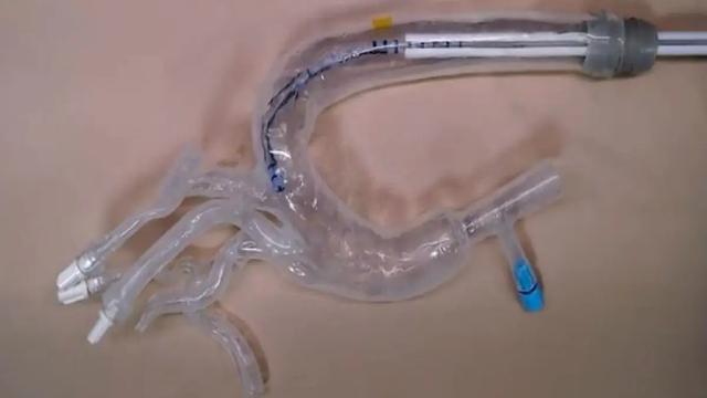 液晶弹性体革命：微型软体机器人实现极端环境中精确导航