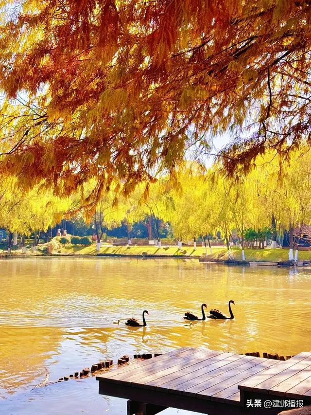 建邺5大封神赏景地,错过再等一年