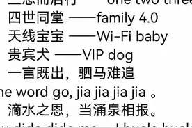 这些笑死人的中文翻译，我劝你别看，这一届的网友实在是太有才了图片