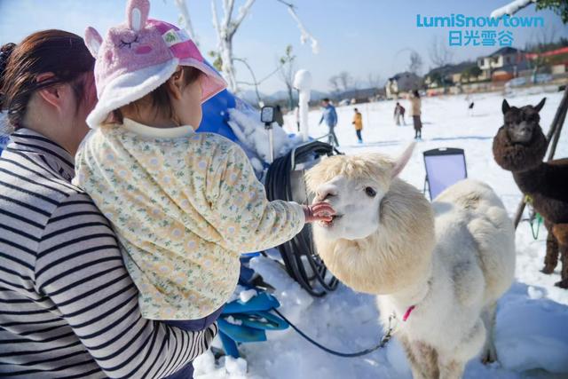 今日试营业！日光雪谷正式亮相，开启临安场景嬉雪新篇章