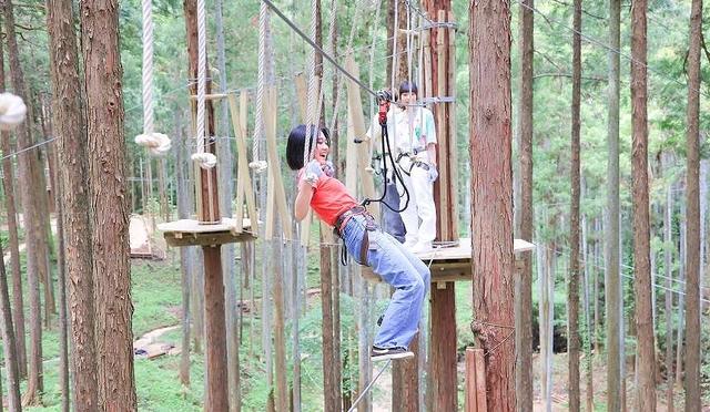 日本亲子游推荐「FOREST ADVENTURE」：享受森林冒险的刺激