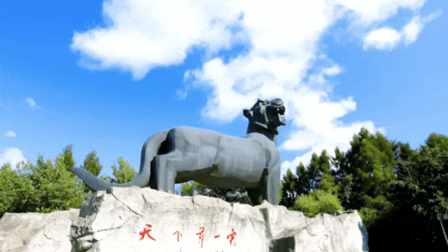 我市召开秋季特色文体旅新闻发布会 多项活动激活金秋旅游市场