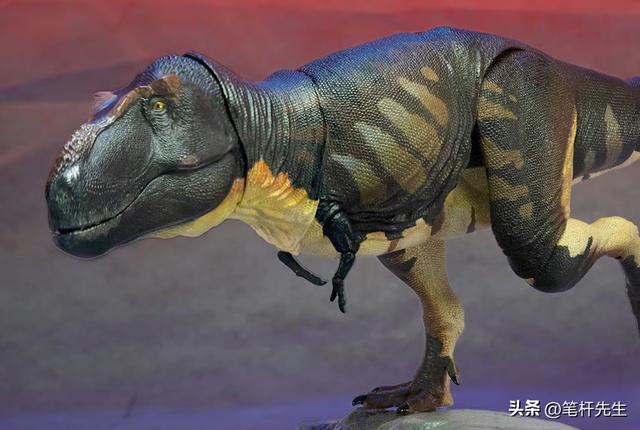 恐龙既不温血也不冷血？化石标记物揭秘，中温性成灭绝关键