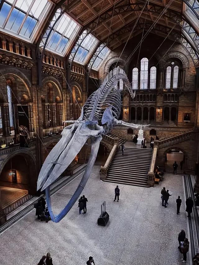 346万英镑拍走史前龙！窃蛋龙"斯派克"背后，科学家与富豪争夺战