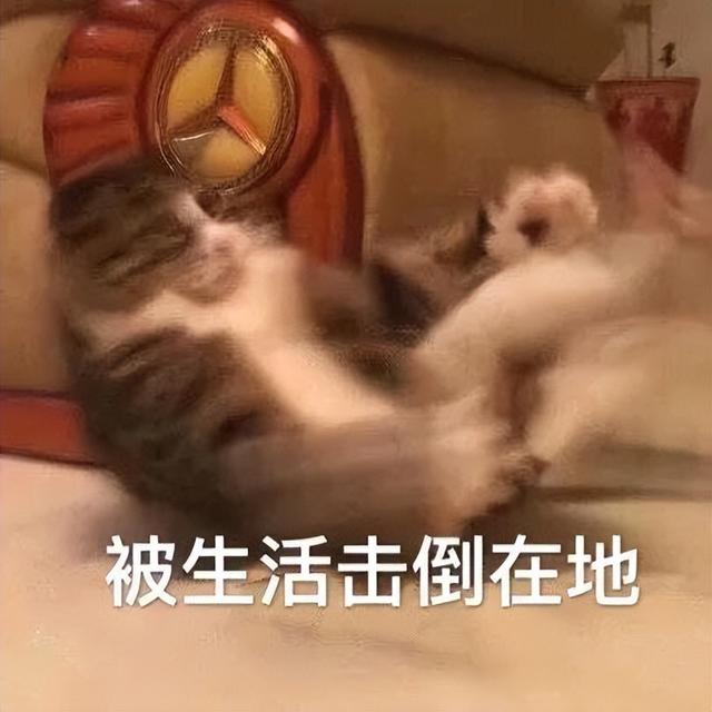 外卖们越卷，服务人员越不能惹