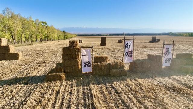麦草垛里“长”出艺术 昭苏秋日旅游添新景
