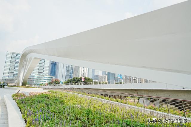 广州新晋网红点，黄埔涌桥打卡攻略