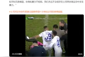 土耳其总统谴责土超联赛出现的殴打裁判事件图片