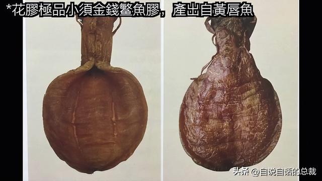 鳘鱼花胶 2025年鳘鱼花胶做法