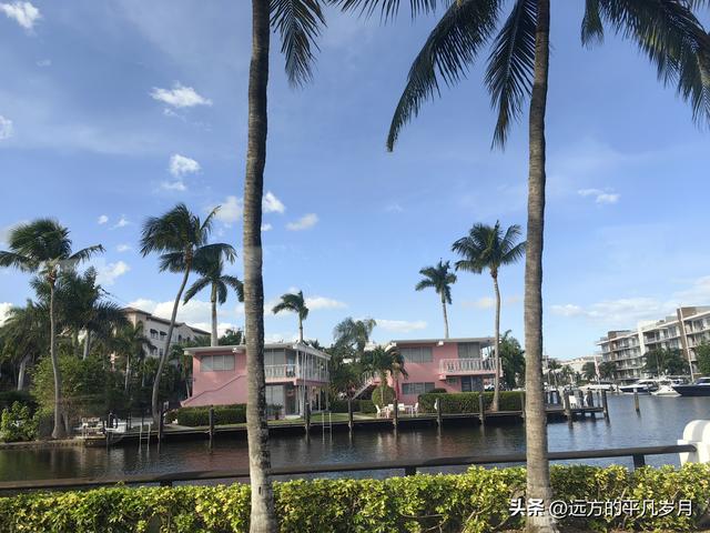 迈阿密游记五