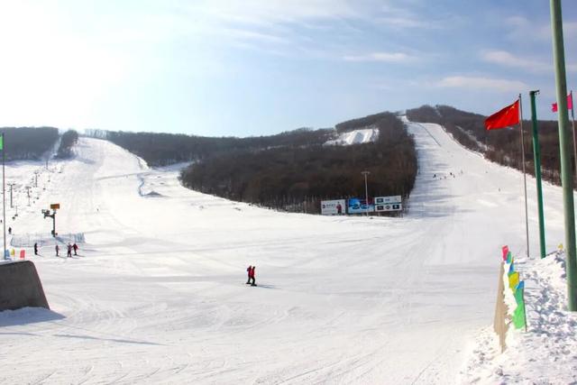 超有氛围感！哈尔滨冬日打卡攻略