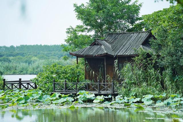 这座我去了又去的江南小城，魅力实在太大了