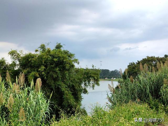 南海金沙岛国家湿地公园