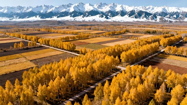 金风裁云绘穹庐，秋色蘸露染圣城 —— 雪域高原上的鎏金诗卷