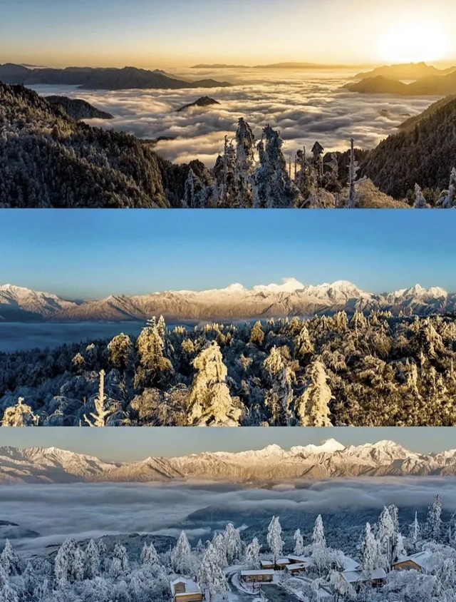 【雪景预告】看雪不必出远门！雅安的冬天超超超美！