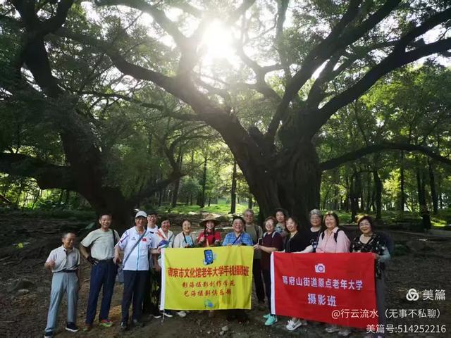 彩色旅图｜光影里的霞浦：滩涂、古树与渔排的诗意时光