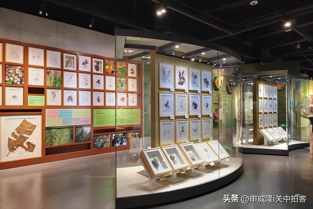 拉萨市：参观西藏自然科学博物馆