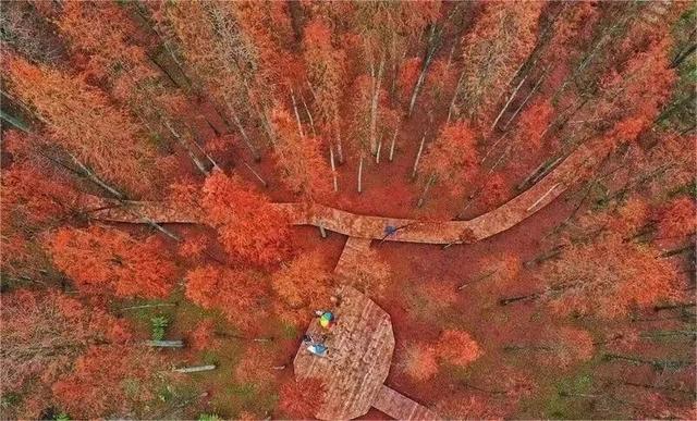 美如仙境！韶关这个地方迎来今年首场冰挂雾凇景观，秋冬来旅行，赏雪泡泉看红枫为你安排好了