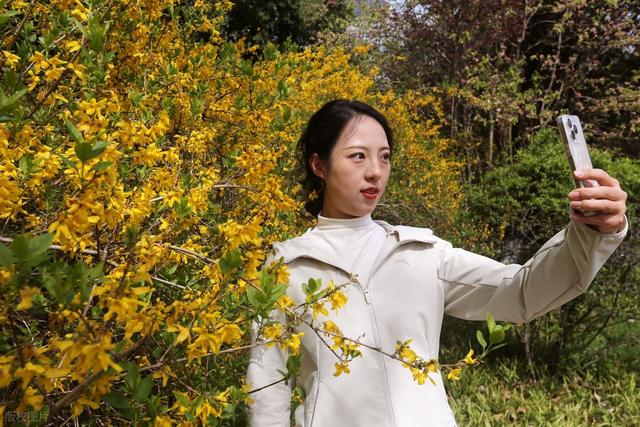 踏青赏花不负春光