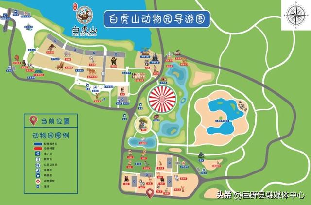 定了！国庆开园！门票免费送！菏泽白虎山动物园10月1日强势回归！