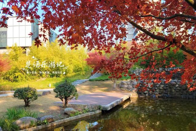 浙江宁波的绝美风景，犹如多彩的田园风情画，拍照与休闲都是一绝