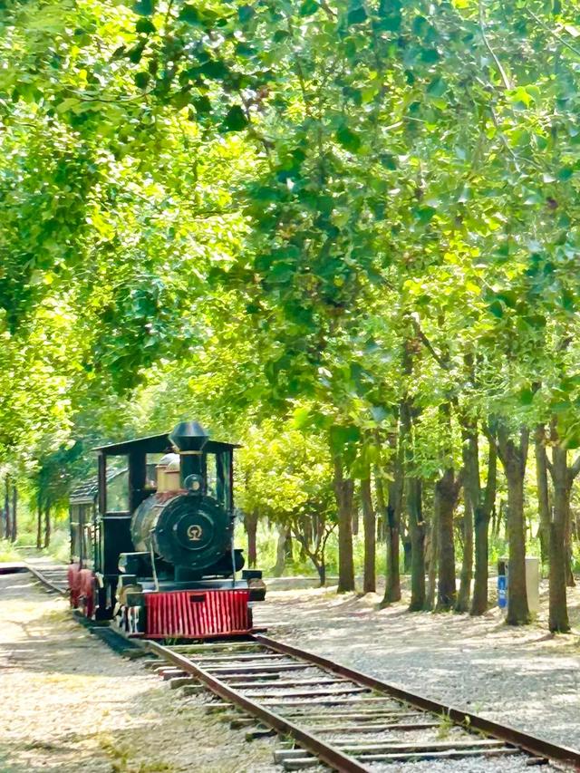 都市绿洲,童话秘境:上海浦江郊野公园完全探索指南