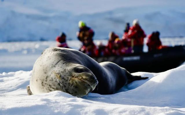 一生一次，2027年出发！41天南极半岛包船登陆，南美4国狂野自驾