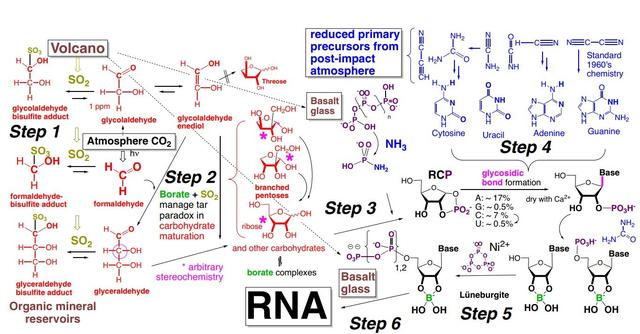 突破性发现！科学家找到43亿年前帮助生命第一个分子诞生的元素